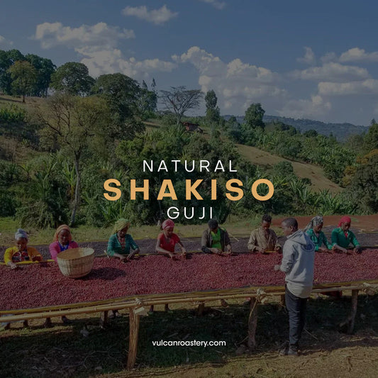 Vulcan | Ethiopia Shakiso Espresso 250G