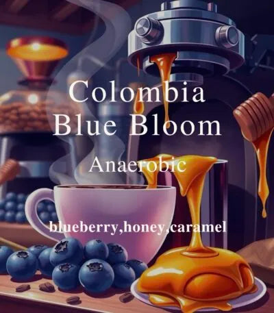 Alez | Colombia Blue Bloom 250G