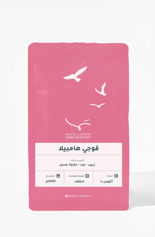 Sama | Ethiopia Guji Hambela 250G