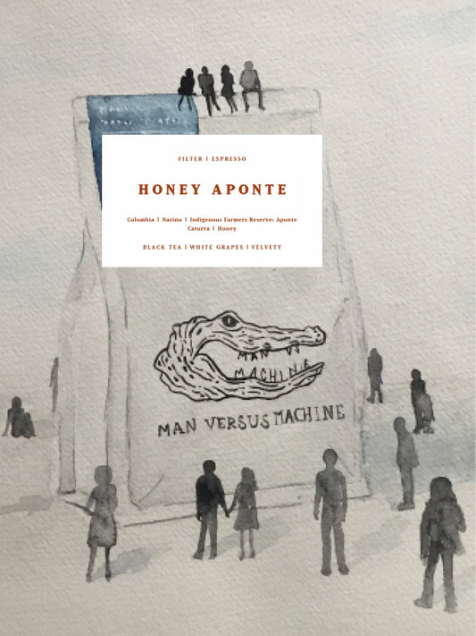 MVSM | Colombia Honey Aponte 250G