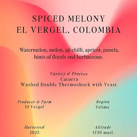 Sumo | Spiced Melon El Vergel Filter 250G
