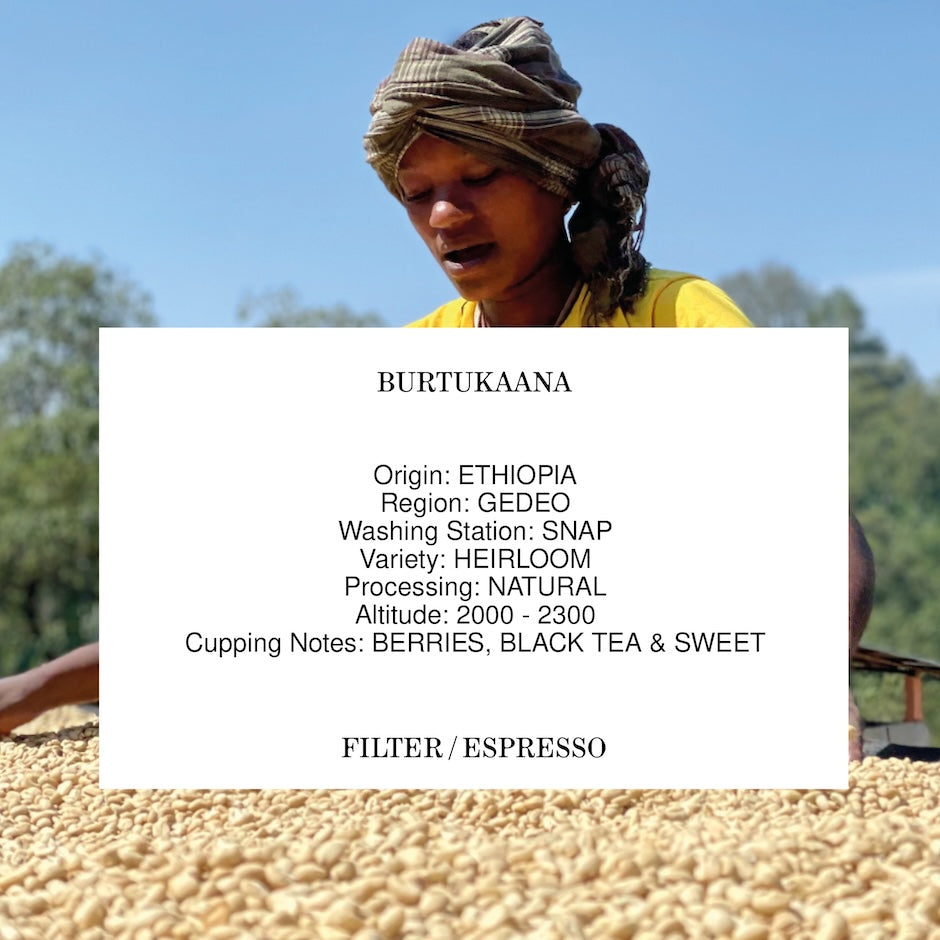 MVSM | Ethiopia Burtukaana 250g