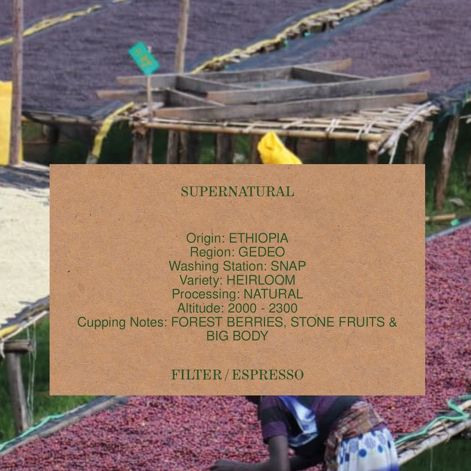 MVSM | Ethiopia Supernatural 250g