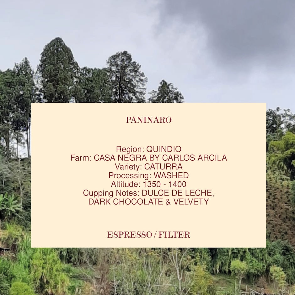 MVSM | Colombia Paninaro 250g