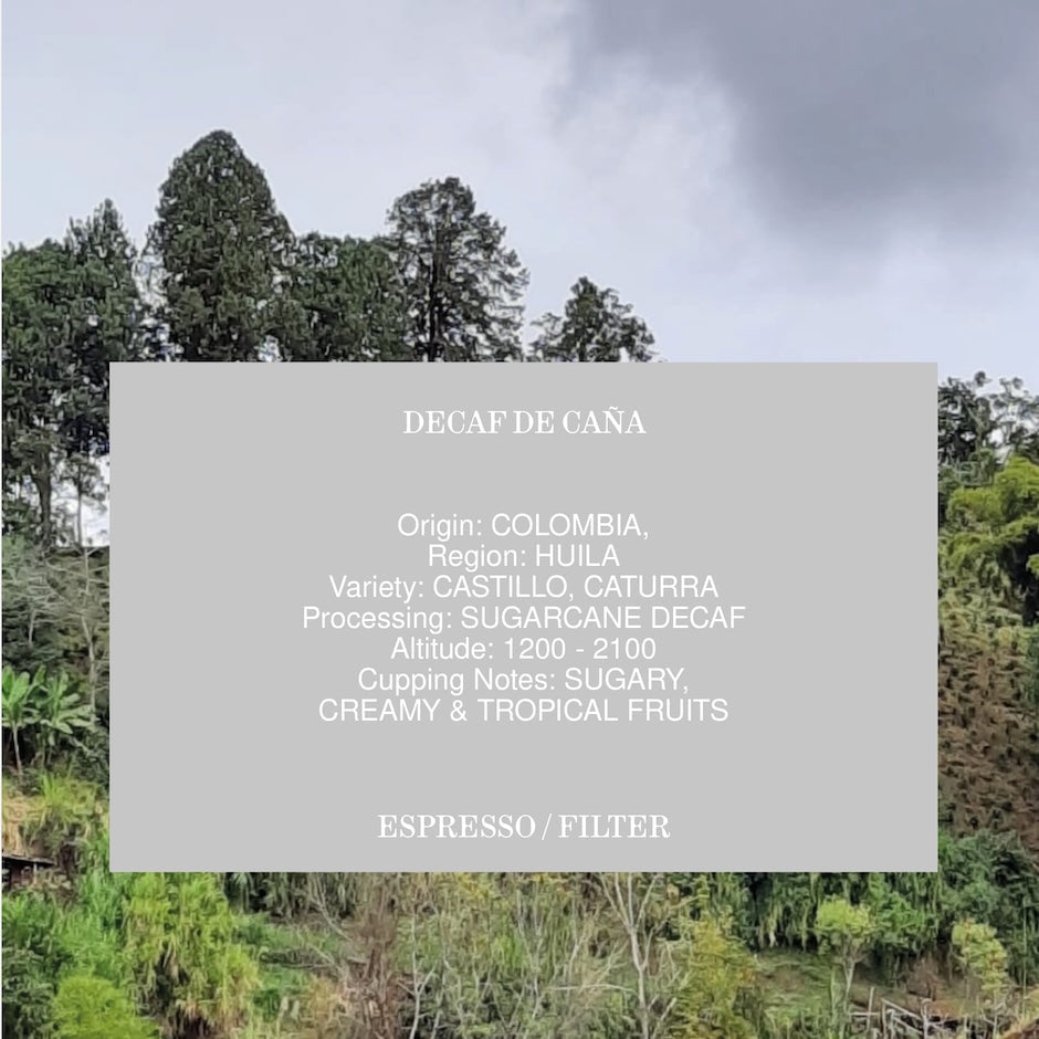MVSM | Colombia Decaf De Cana 250g