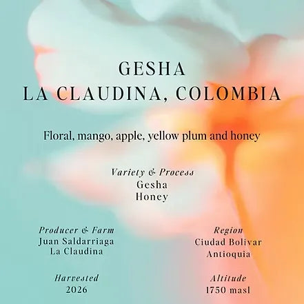 Sumo | Colombia Gesha La Claudina 250G