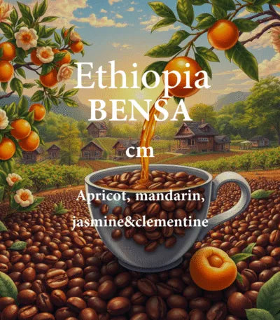Alez | Ethiopia Bensa 250G