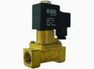Slayer 2 Way Solenoid Valve 220V-240V