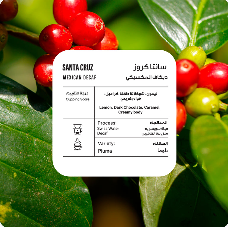 Piccolo | Mexico Decaf 250G