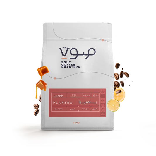 Sout | Colombia Palmera 250G