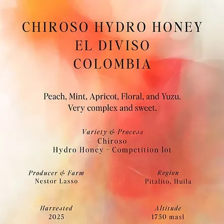 Sumo | Chiroso Hydro Honey Colombia 90G