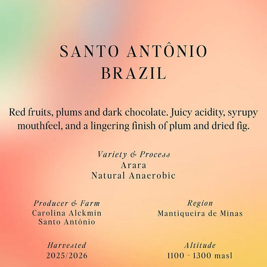 سومو | البرازيل سانتو أنطونيو 250 غرام