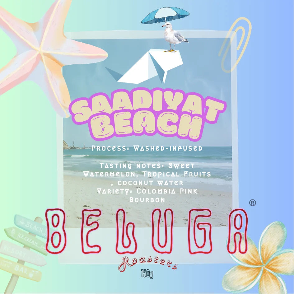 Beluga | Colombia Saadiyat Beach 150G