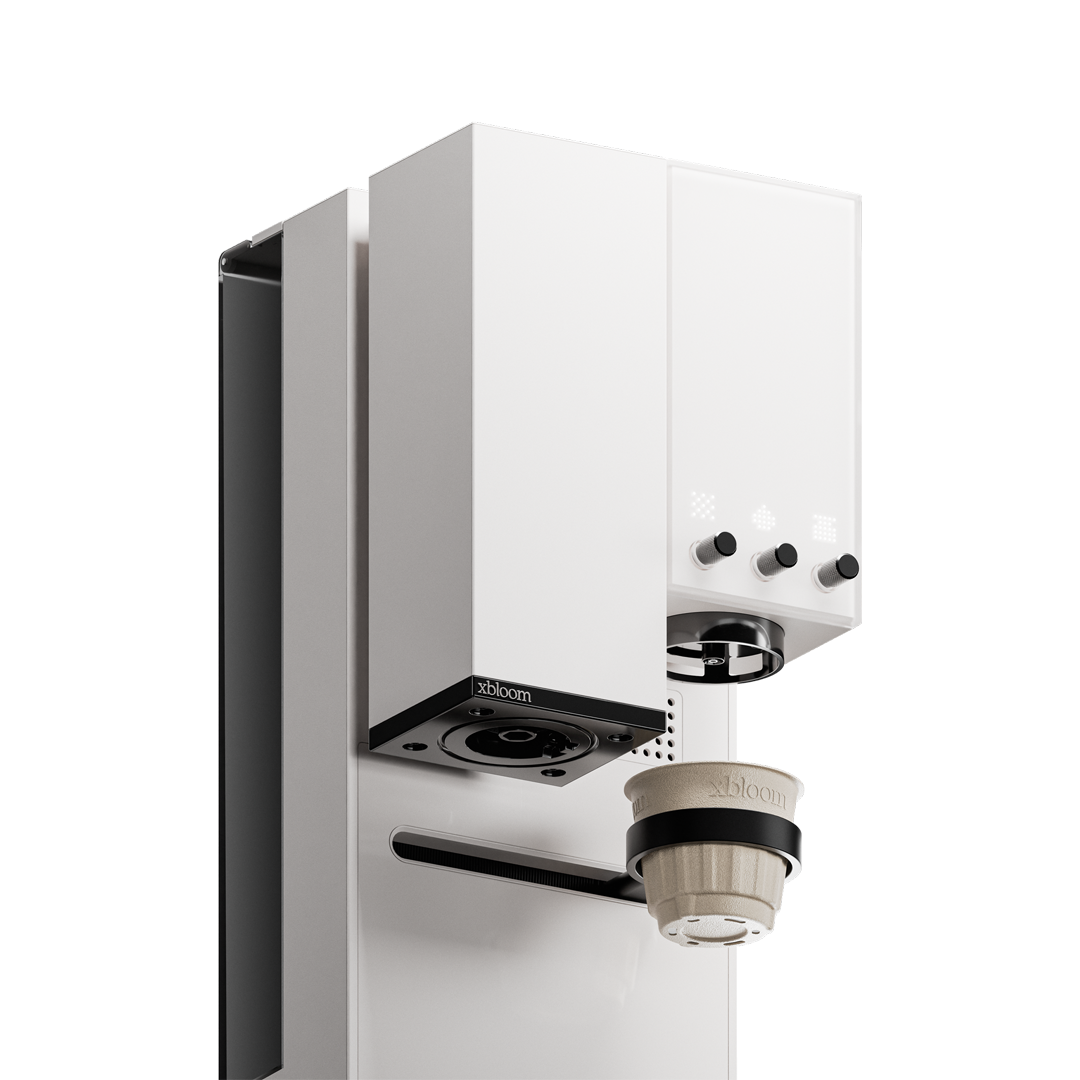 Xbloom | Studio White Panda