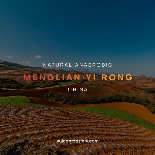 Vulcan | China Meng Lian Filter 250G