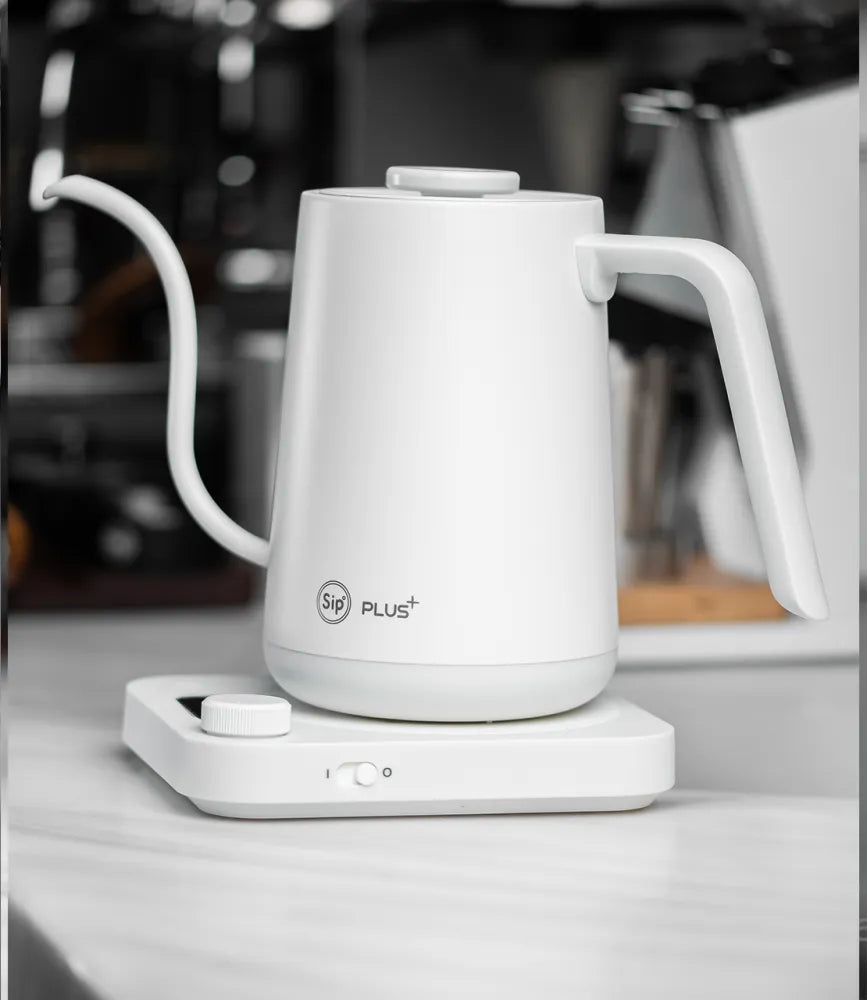 JDMON SIP | Brewing Temperature Controlled Electronic Kettle White 900ML
