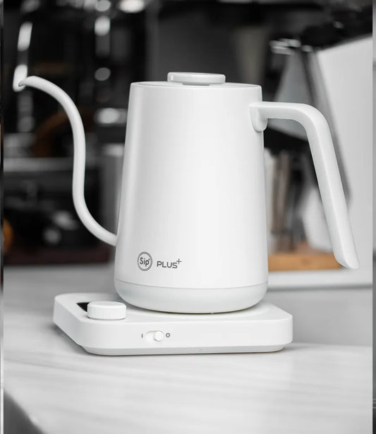 JDMON SIP | Brewing Temperature Controlled Electronic Kettle White 900ML