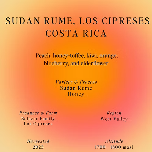 Sumo | Sudan Rume Costa Rica 250G