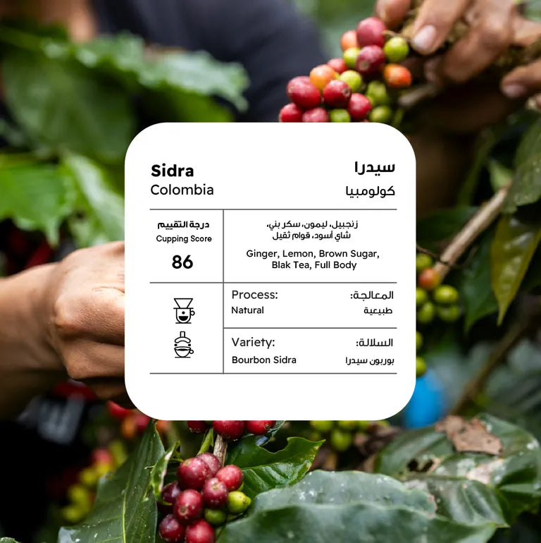 Piccolo | Colombia Supremo 250G