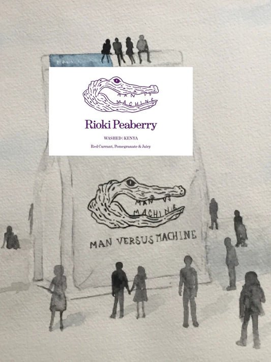 MVSM | Kenya Rioki Peaberry 250G