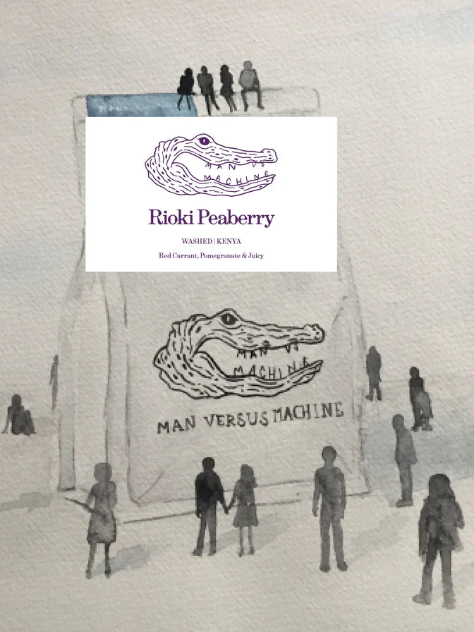 MVSM | Kenya Rioki Peaberry 250G