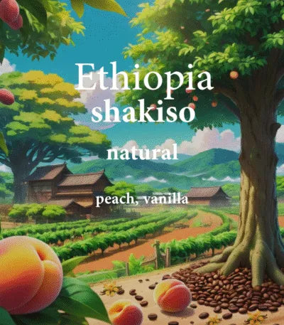 Alez | Ethiopia Shakiso 250G