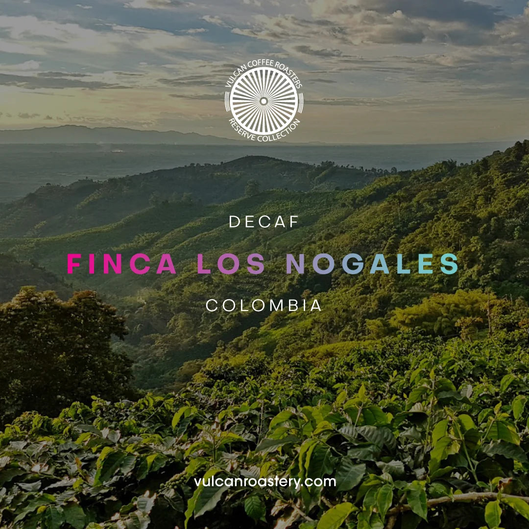 Vulcan | Colombia Los Nogales Decaf Filter 250G