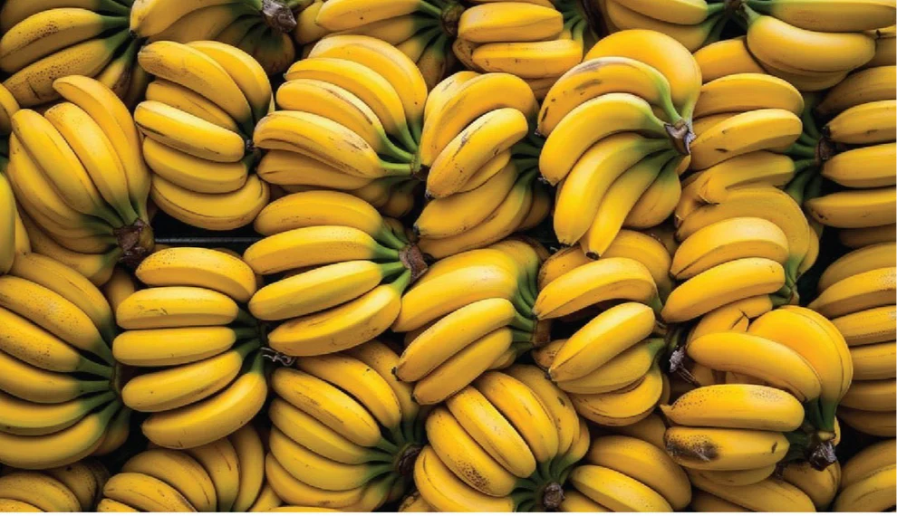 Slurp AL AIN | GOLDEN BLOOM | Exclusive 150G