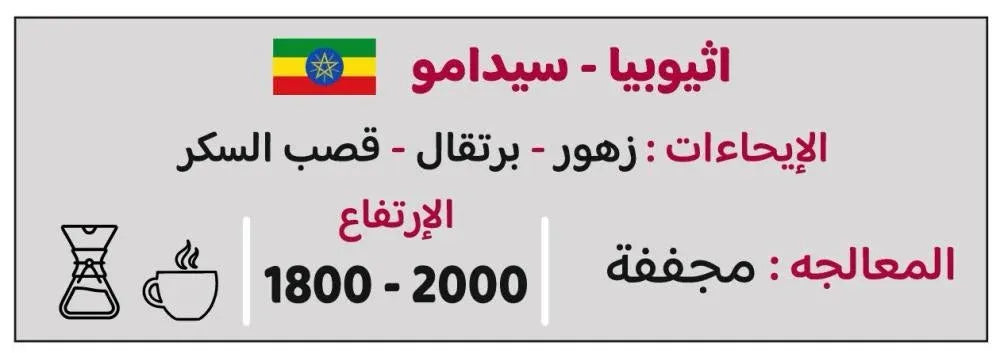 كافتيريا | إثيوبيا سيدامو 250 جرام 