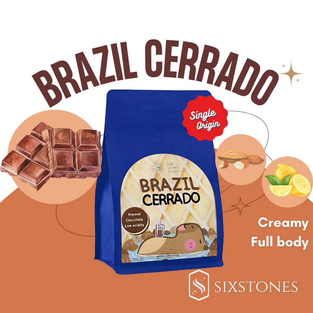Sixstones | Brazil Cerrado 150G