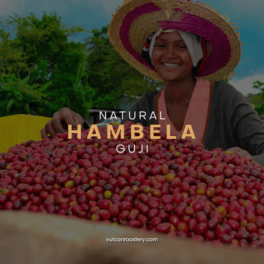 Vulcan | Ethiopia Guji Hambela Espresso 250G