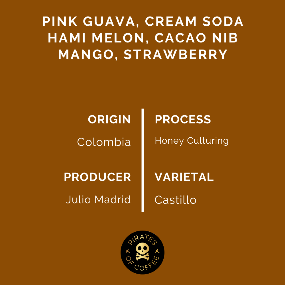Pirates Magic Potion Espresso Colombia Honey 250 G