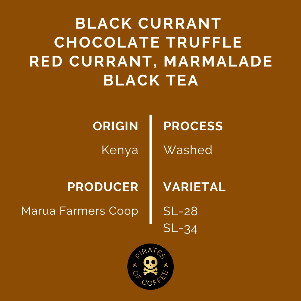 Pirates Black Mamba Kenya Washed 250 G