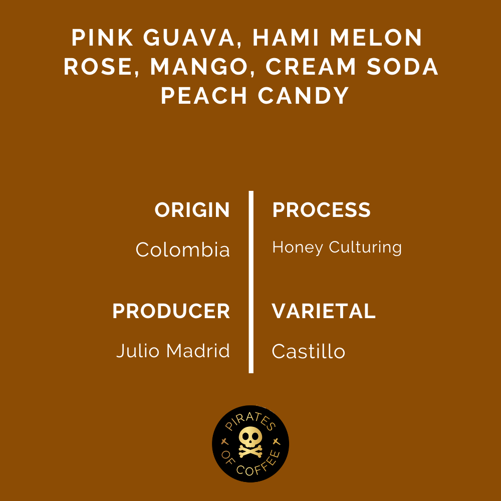 Pirates Magic Potion Filter Colombia Honey 250 G