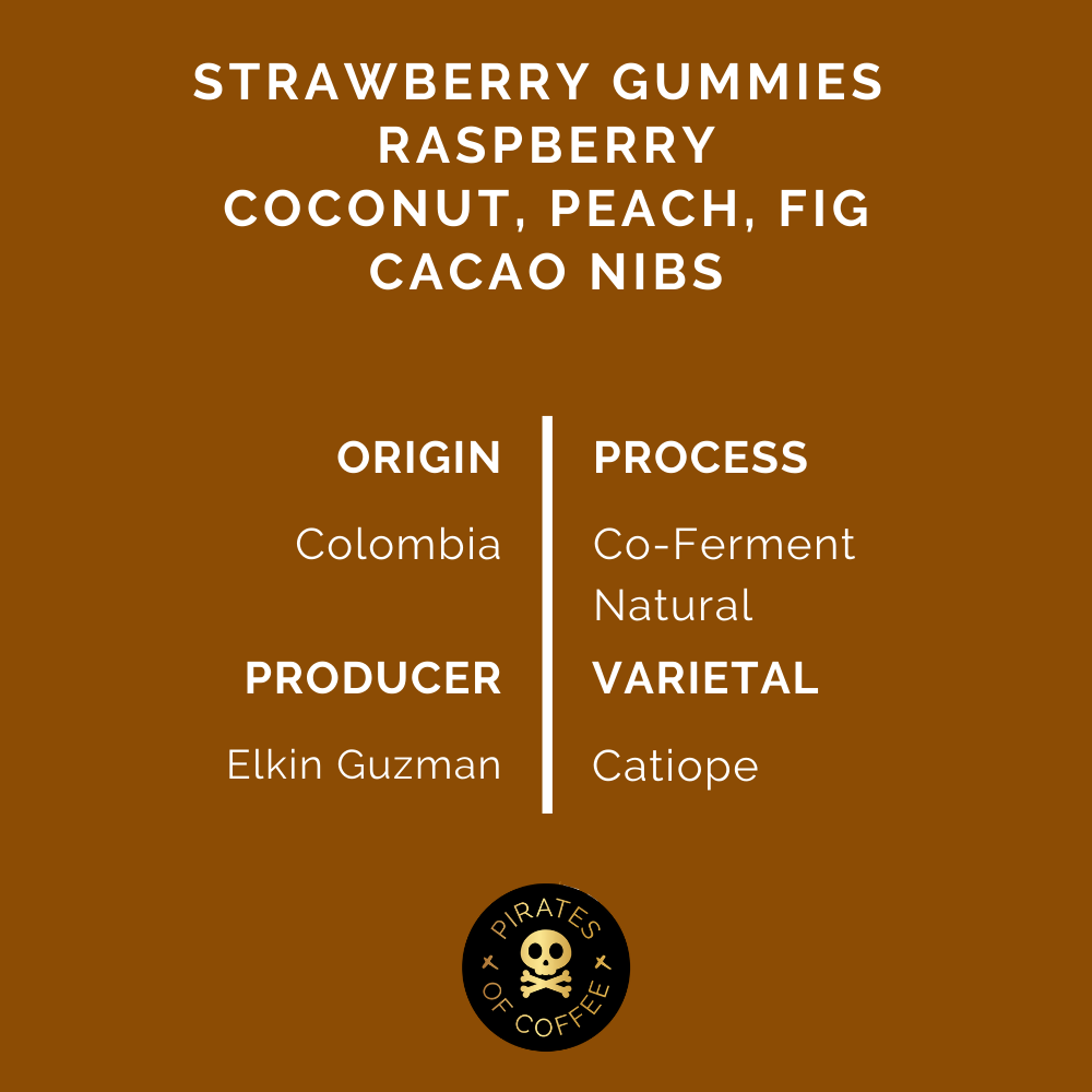 Pirates Razzlberry Filter Colombia Co Ferment 250 G