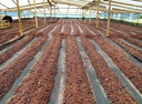 Pirates Razzlberry Filter Colombia Co Ferment 250 G