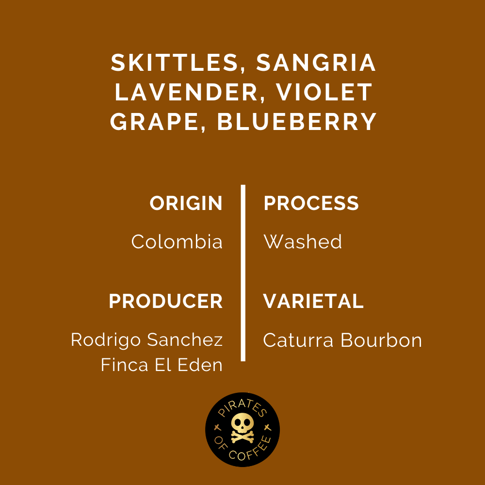 Pirates Sangria Colombia Washed 250 G