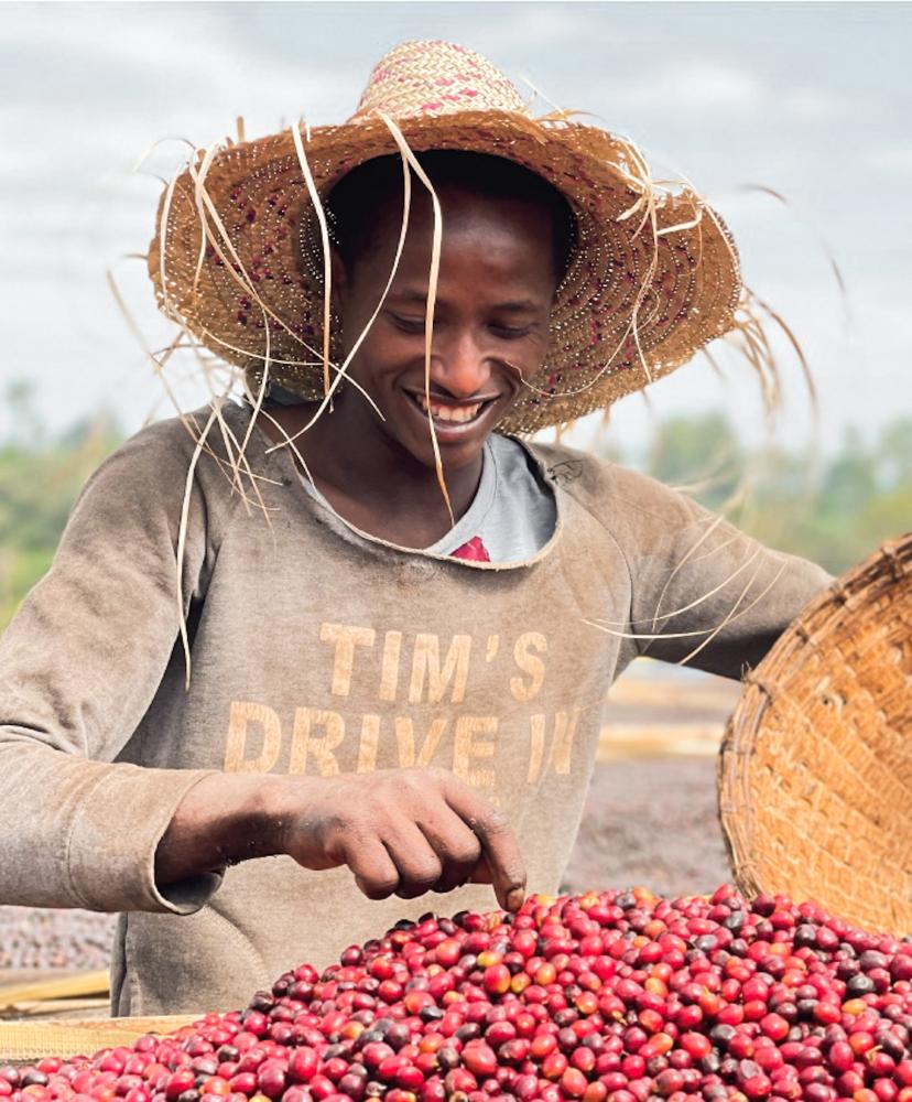 Alwaal Albari Ethiopia Tema 200G