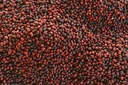 Alwaal Albari Colombia Antioquia 200G