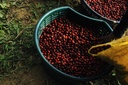 Alwaal Albari Costa Rica Loma Poro 125G