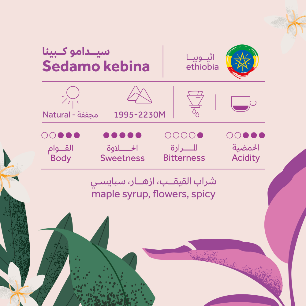 Breehant Sidamo Kabina 250 G