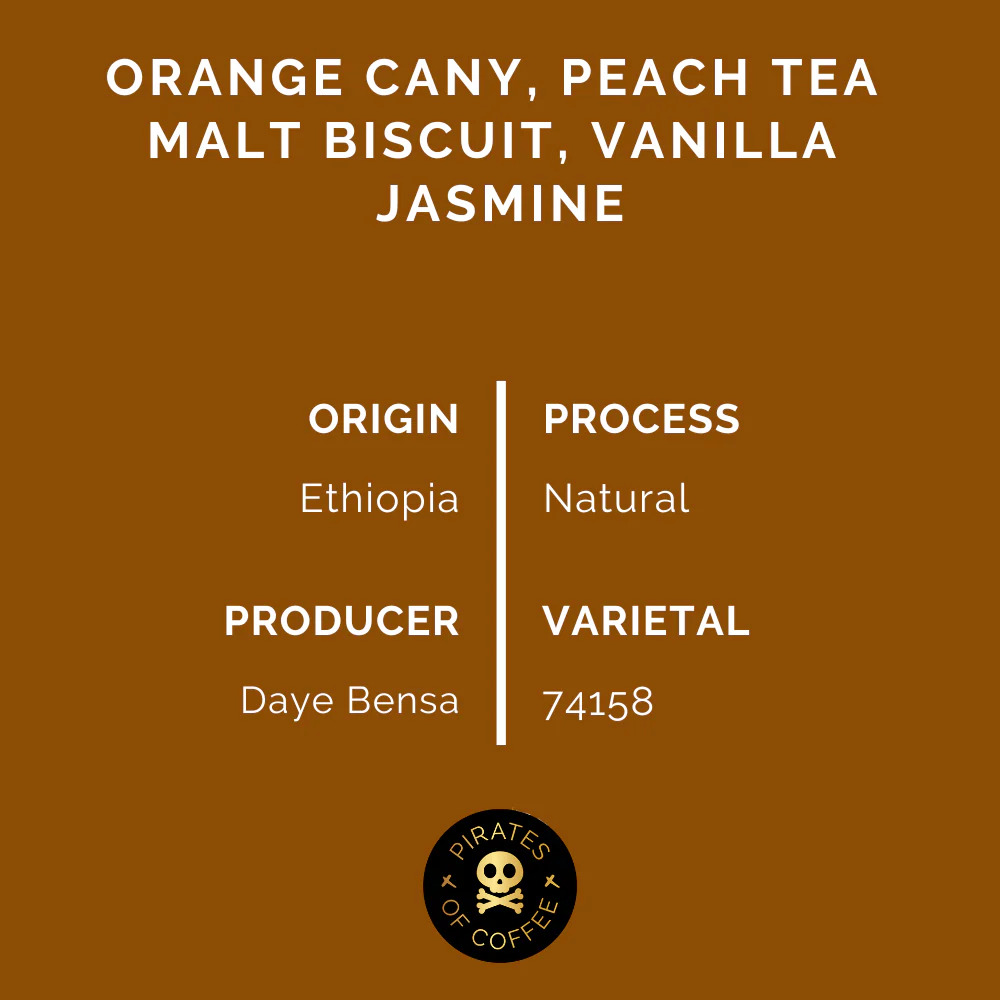 Pirates Hamasho Espresso - Ethiopia Natural (250g)