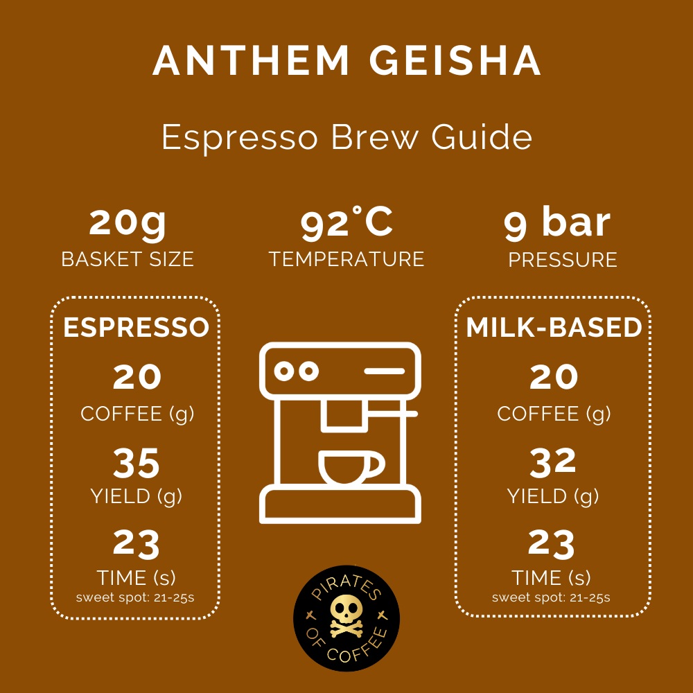 Pirates Anthem Geisha - Panama Natural (100g)