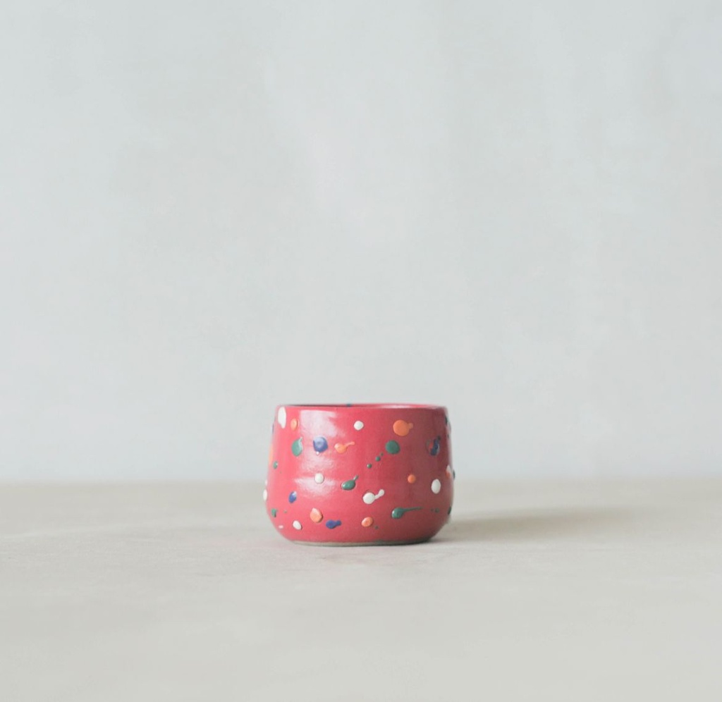 Kaloka C29S Pulp Red Lipstick