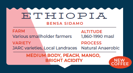 Haute Ethopia Bensa Sidamo Anearobic 250G