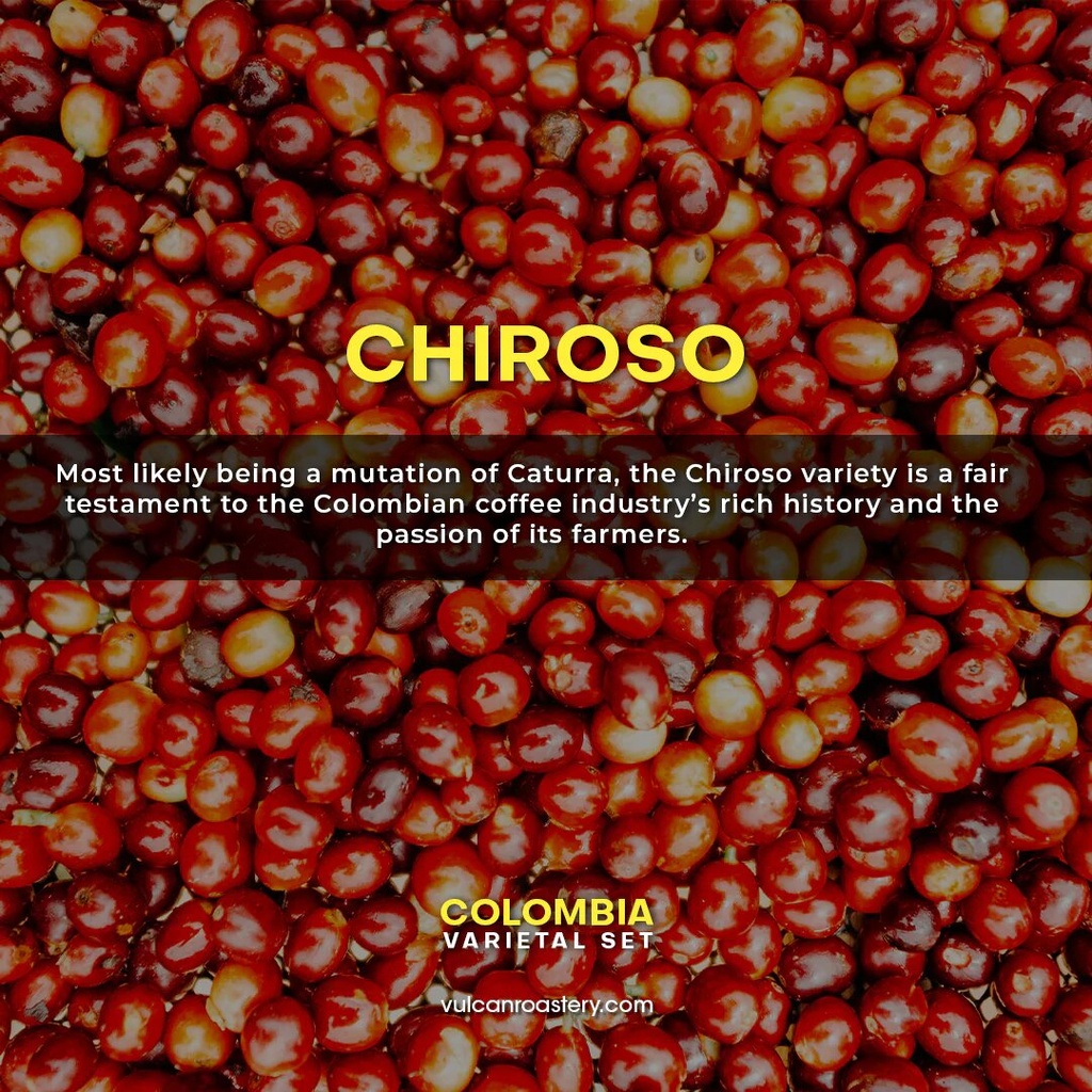 Vulcan Colombia Finca El Diviso Chiroso 250G- Espresso Roast