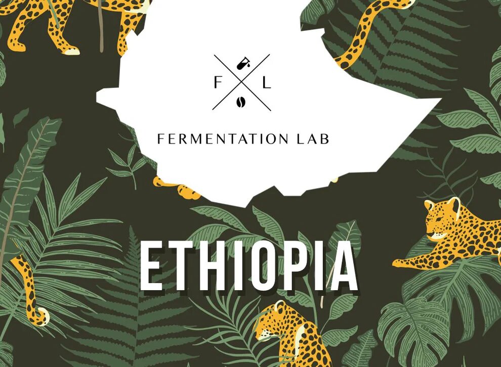 Fermenatation Lab Shantawene Natural Filter 250 G