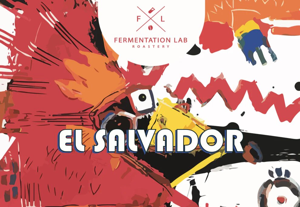 Fermenatation Lab El Salvador Filter 250 G