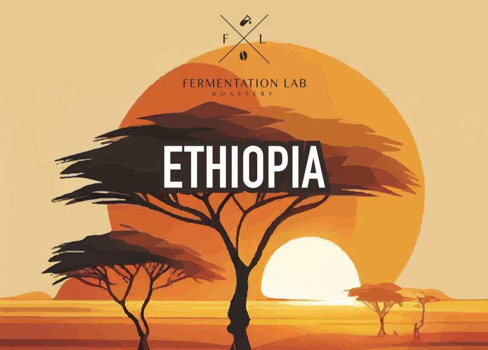 Fermenatation Lab Al Etihad Filter 250 G