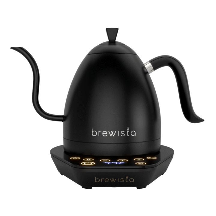 Brewista Artisan Electric Gooseneck Kettle 	 All Black 600ML